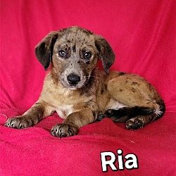 Thumbnail photo of Ria #1