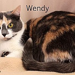 Thumbnail photo of Wendy #3