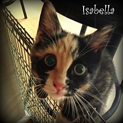 Photo of Isabella