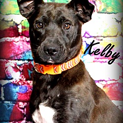 Thumbnail photo of Kelby ~ meet me! #3