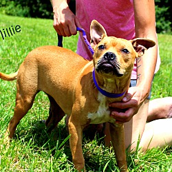 Thumbnail photo of Millie ~ meet me! #4