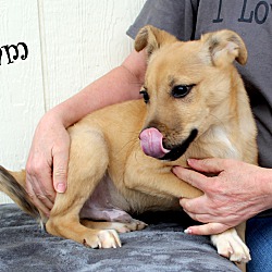Thumbnail photo of Liam~adopted! #2