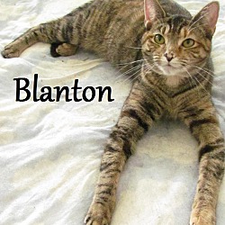 Thumbnail photo of Blanton #2