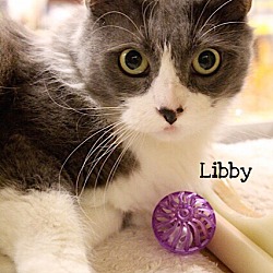Thumbnail photo of Libby #1