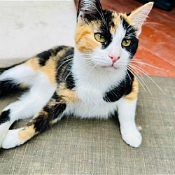 Photo of Elizabeth