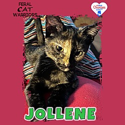 Photo of Jollene