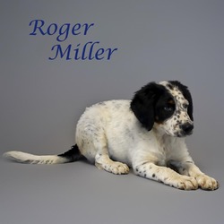 Thumbnail photo of Roger Miller D24-137 #2