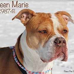 Thumbnail photo of Queen Marie #1