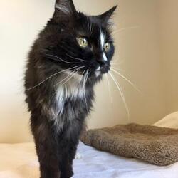 Photo of Miss Priss