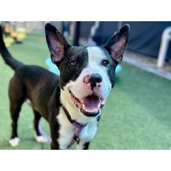 Photo of OTIS