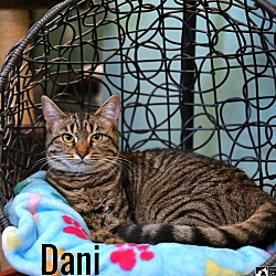 Photo of Dani
