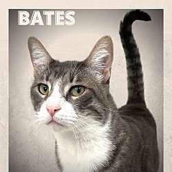 Photo of Bates