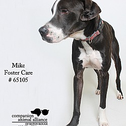Thumbnail photo of Mike (Foster) #2
