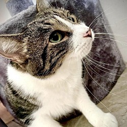 Photo of Slinky