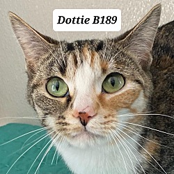Photo of Dottie B189