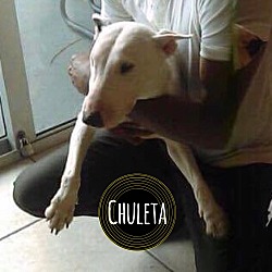 Photo of Chuleta