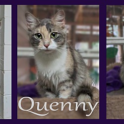 Thumbnail photo of Quenny #3