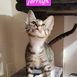 Thumbnail photo of Jerrilyn #4