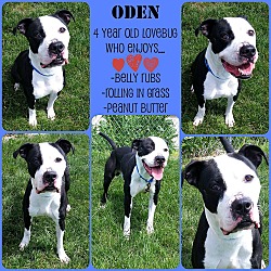 Photo of Oden