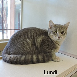 Thumbnail photo of Lundi #1