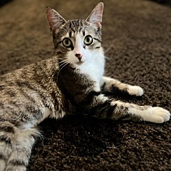 Photo of Lois