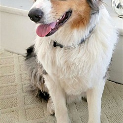 Photo of XP - Myles (Ringoes, NJ)