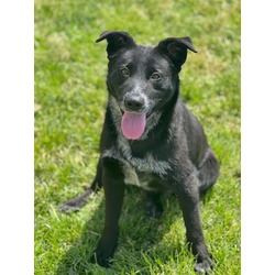 Photo of *JAX
