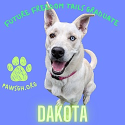 Photo of Dakota