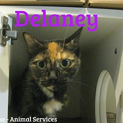 Thumbnail photo of Delaney #1
