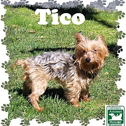 Thumbnail photo of Tico #2