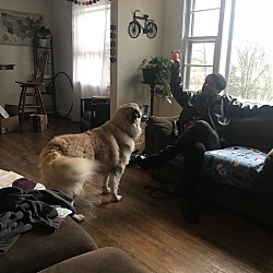 Photo of Finn