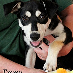 Thumbnail photo of Emmy ~ meet me! #2