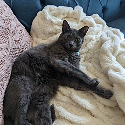 Photo of Sammy