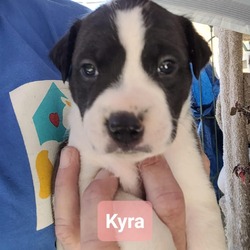 Photo of Kyra