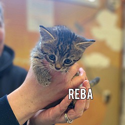 Photo of Reba