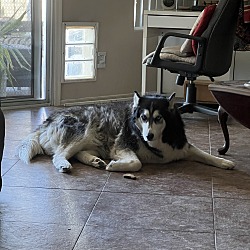 Photo of Dakota