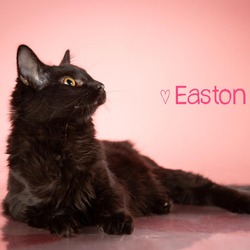 Photo of Easton