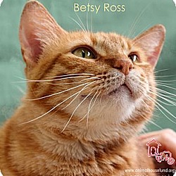 Thumbnail photo of Betsy Ross #4