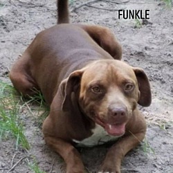 Photo of Funkle