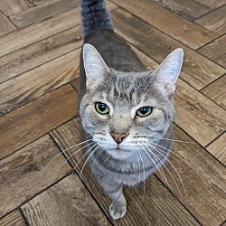 Photo of Penne