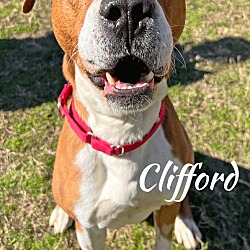 Photo of Clifford