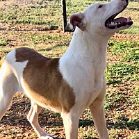 post animal refuge center