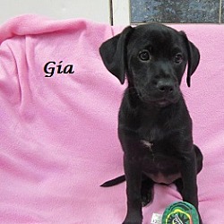 Thumbnail photo of Gia #2