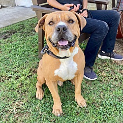 Photo of Coco