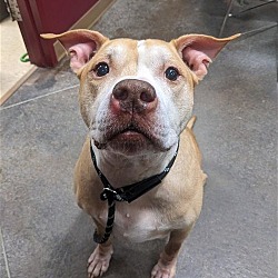 Photo of REX