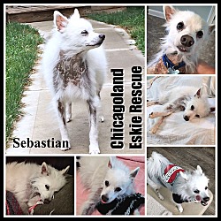 Thumbnail photo of Sebastian #1