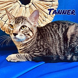 Thumbnail photo of Tanner #3