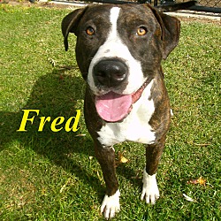 Thumbnail photo of Fred #1