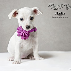 Photo of Nadia
