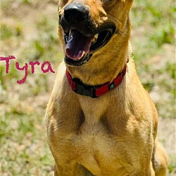 Photo of Tyra